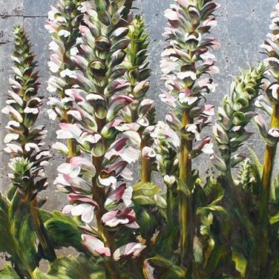 Paper print acanthus on silver painting by Sarah Caswell UK floral artist