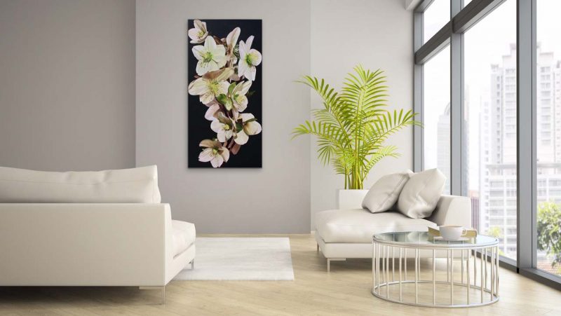 Canvas print of white and green hellebores on dark background on a wall in a living room. Painting by UK floral artist Sarah Caswell