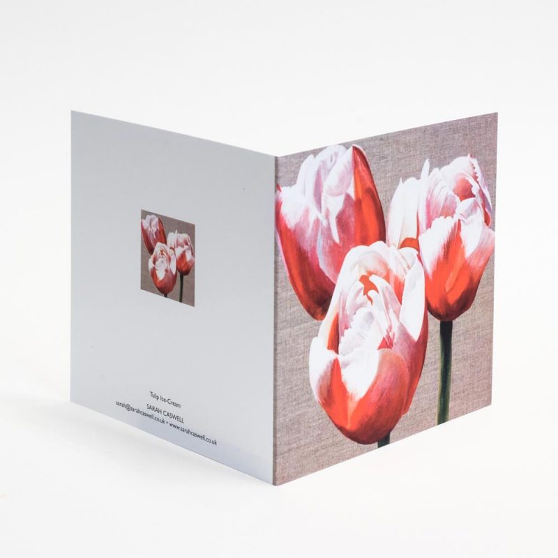 Pink and white bi-coloured tulips on linen background painting by Sarah Caswell open card