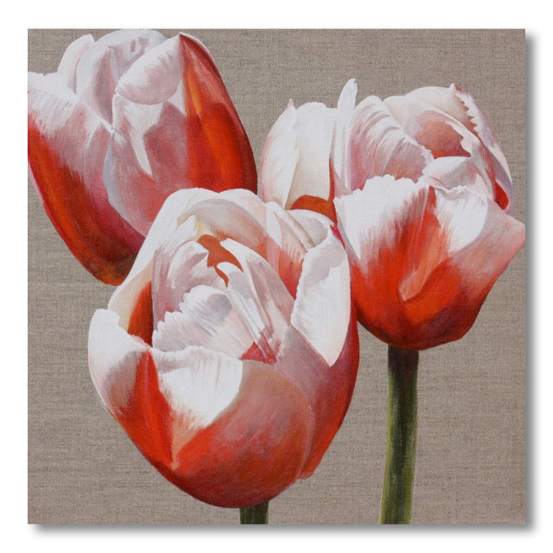 Pink and white bi-coloured tulips on linen background painting by Sarah Caswell