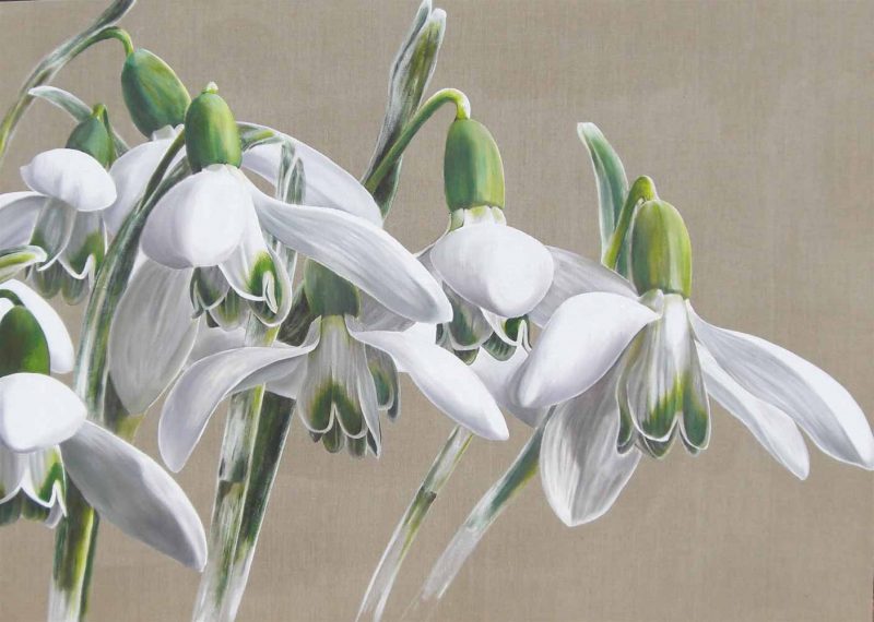 White snowdrop galanthus on natural linen background painting by UK floral artist Sarah Caswell