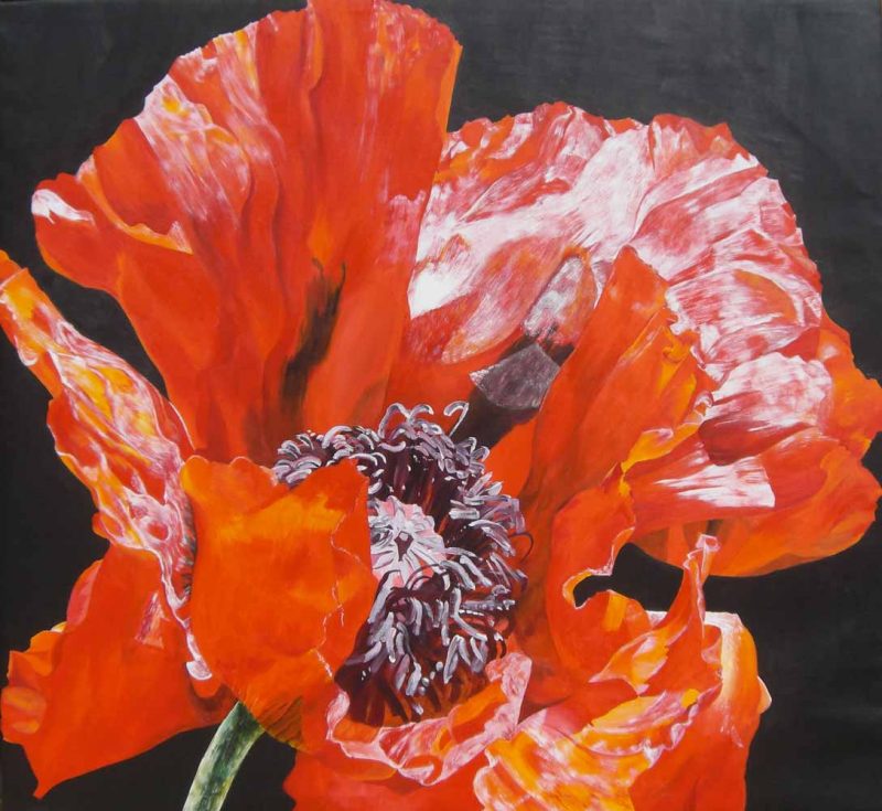 Red poppy on dark painted background painting by UK floral artist Sarah Caswell