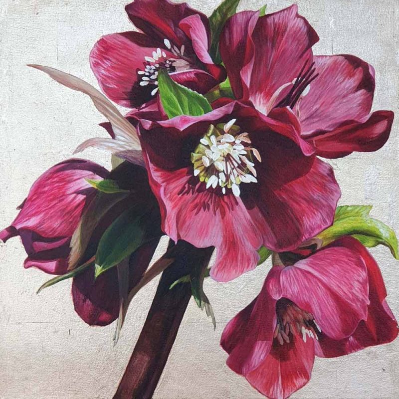 Original acrylic painting on cotton canvas of Pink hellebores in bright sunshine on 22ct ‘moon’ gold leaf background