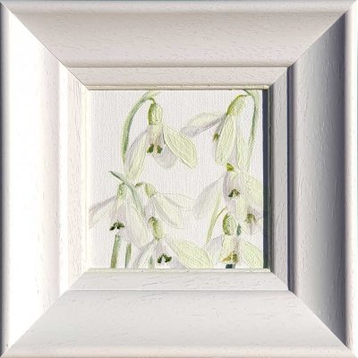 Artist Support pledge #12. Snowdrops on white background. Original acrylic sketch by UK Floral Artist Sarah Caswell on canvas board. Framed in white.