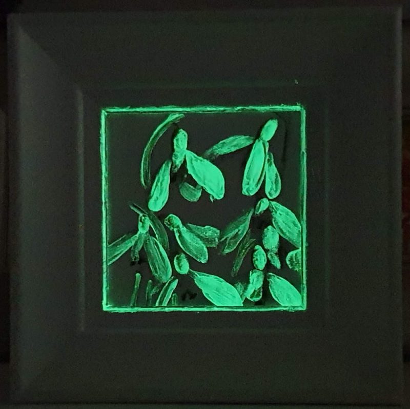 Artist Support pledge #12. Snowdrops in glow in the dark paint. Original acrylic sketch by UK Floral Artist Sarah Caswell on canvas board.