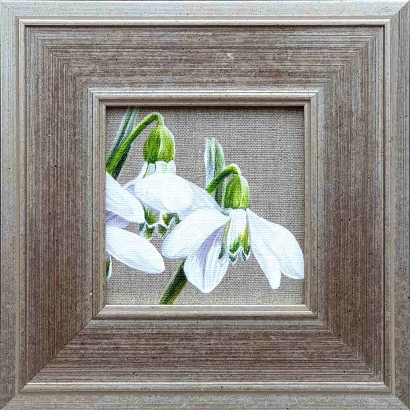 Artist Support pledge #16. Snowdrops on linen background. Original acrylic sketch by UK Floral Artist Sarah Caswell on canvas board. Framed in silver gilt.