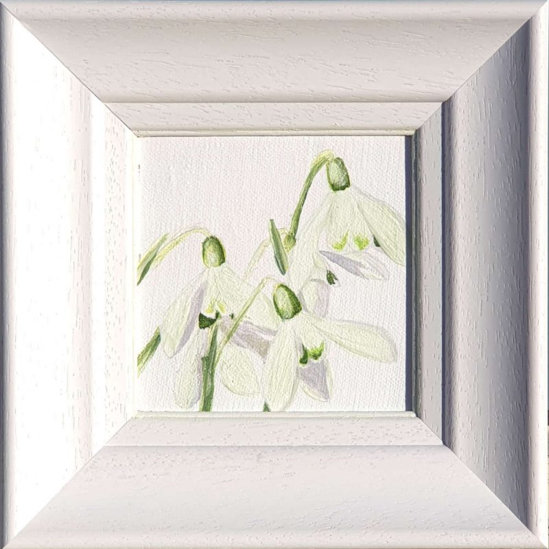 Artist Support pledge #9. Snowdrops on white background. Original acrylic sketch by UK Floral Artist Sarah Caswell on canvas board. Framed in white.