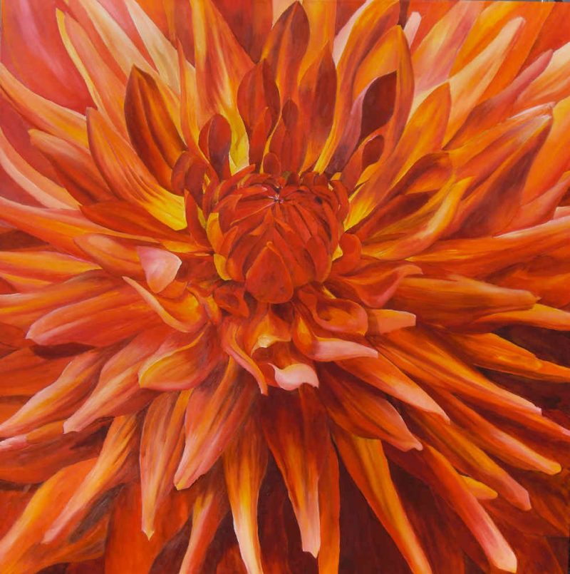 Fabulous Orange Dahlia