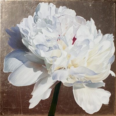 Original paintings of a white peony with magenta tinges on a gold leaf background