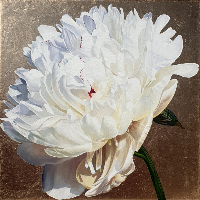 Original paintings of a white peony with magenta tinges on a gold leaf background