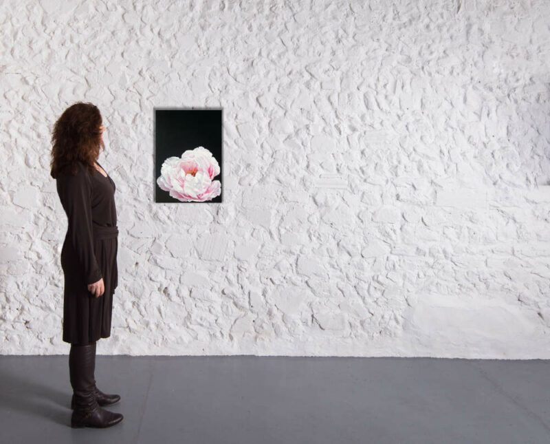 Original painting of a pale pink peony on a black background in a gallery